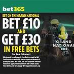 place a bet on the grand national